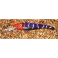 R4 Crankbait